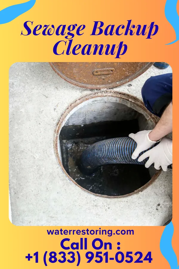 Sewage Backup Cleanup in Fairhope, AL